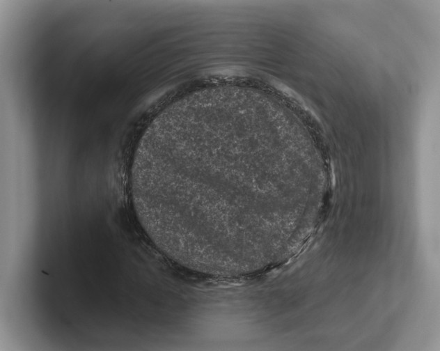 X0000101700822200807311430