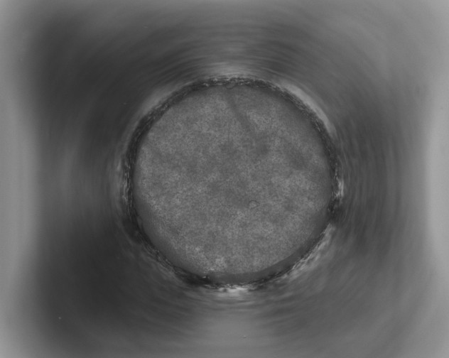 X0000101700823200807311430