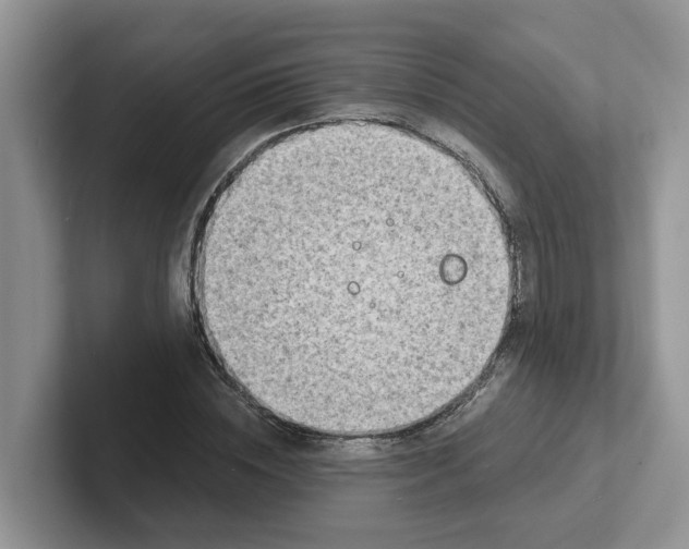 X0000101700828200807311430