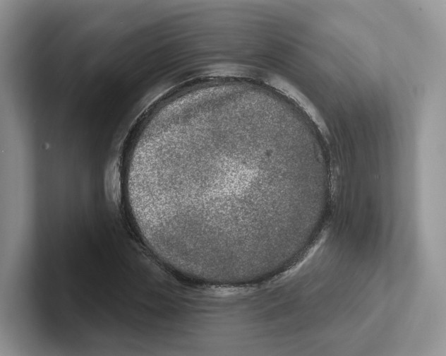 X0000101700829200807311430