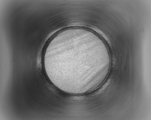 X0000101700830200807311430