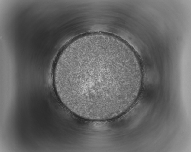 X0000101700832200807311430