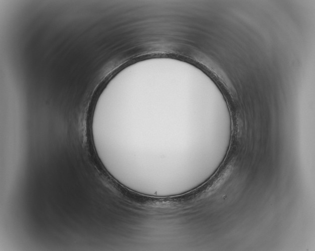 X0000101700834200807311430