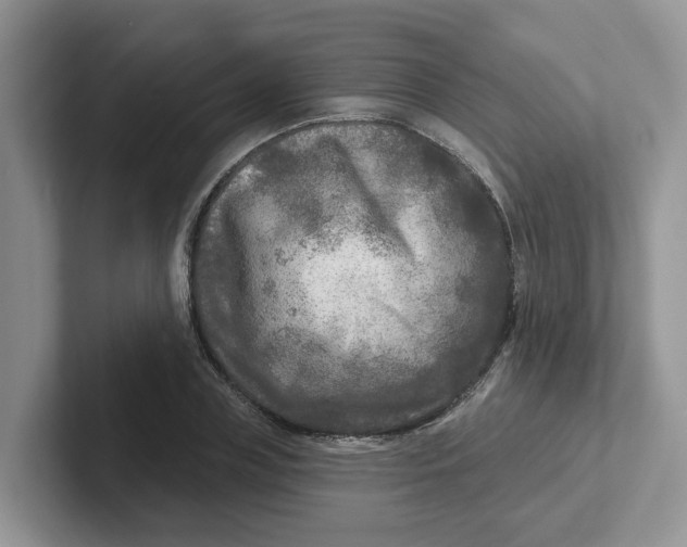 X0000101700835200807311430