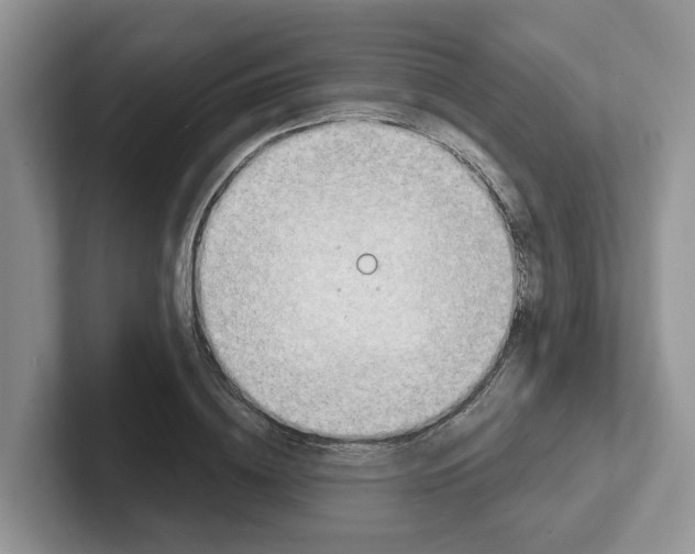 X0000101700836200807311430