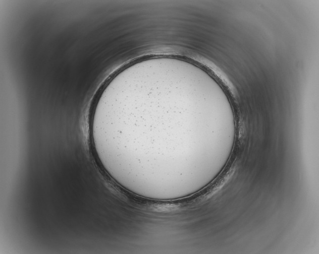 X0000101700837200807311430