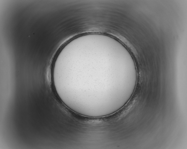 X0000101700838200807311430