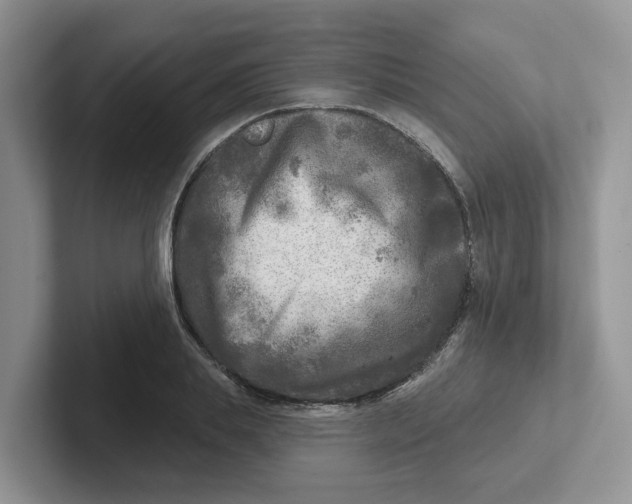 X0000101700839200807311430