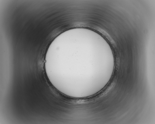 X0000101700841200807311430