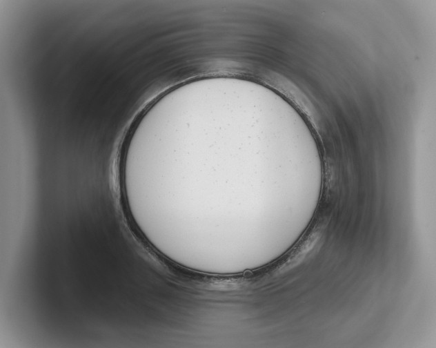 X0000101700843200807311430