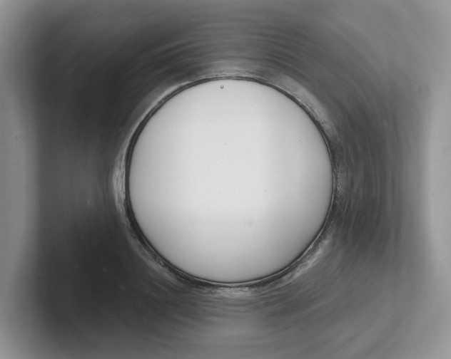 X0000101700844200807311430