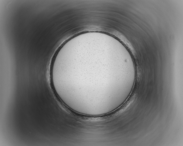 X0000101700845200807311430