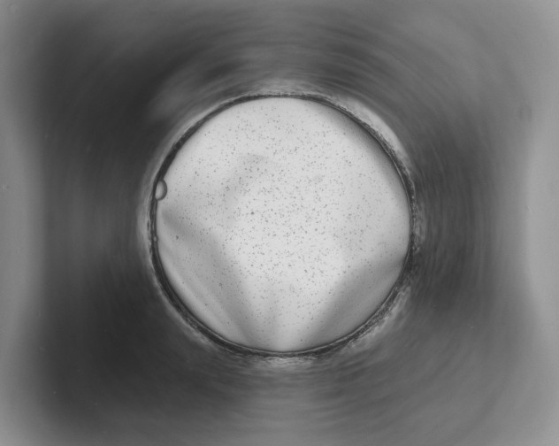 X0000101700847200807311430