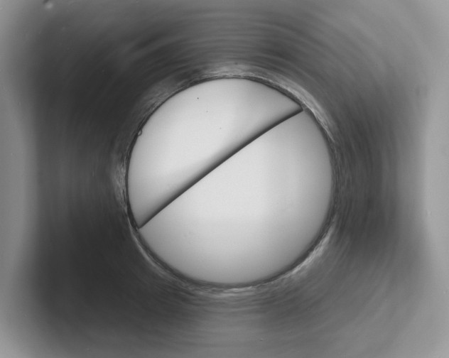 X0000101700849200807311430