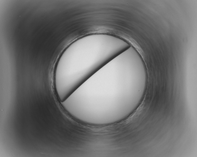 X0000101700850200807311430