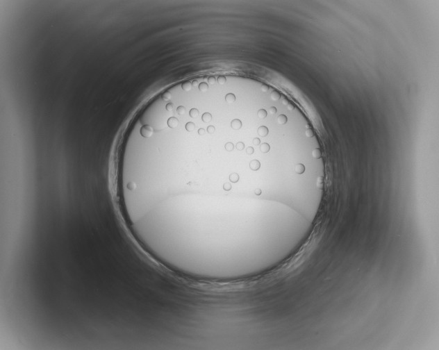 X0000101700851200807311430