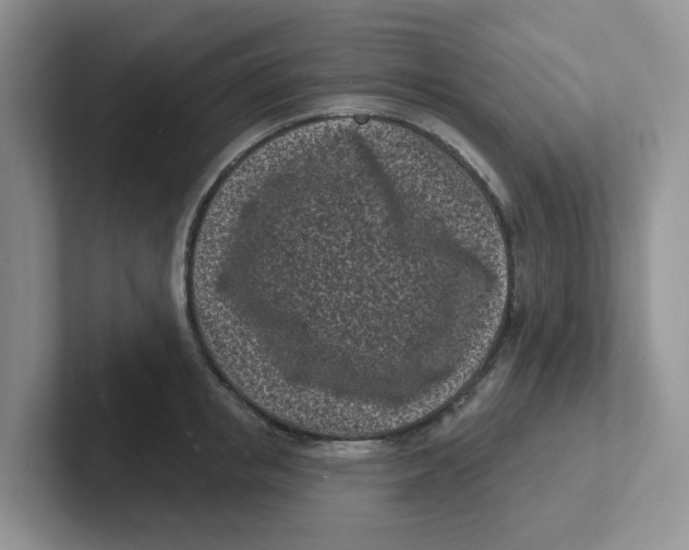 X0000101700853200807311430