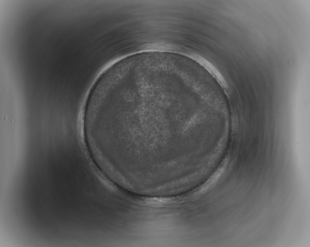 X0000101700854200807311430