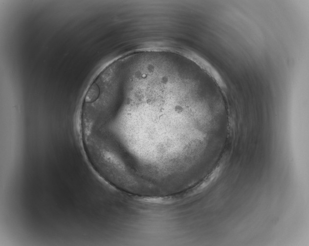 X0000101700855200807311430