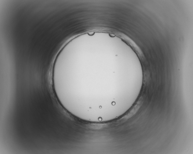 X0000101700860200807311430