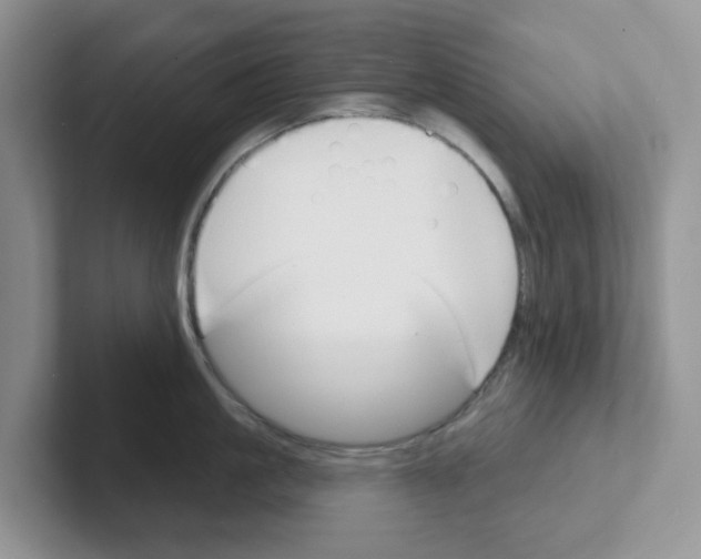 X0000101700861200807311430