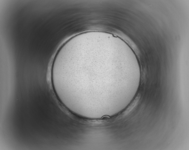 X0000101700862200807311430