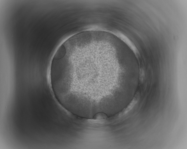 X0000101700863200807311430