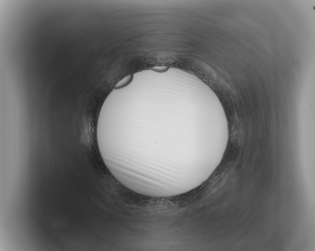 X0000101700866200807311430