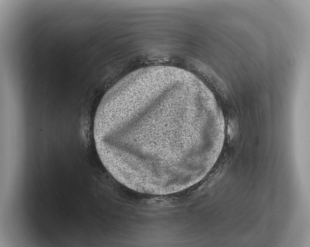 X0000101700867200807311430