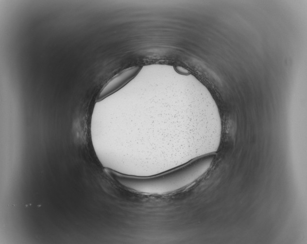 X0000101700868200807311430