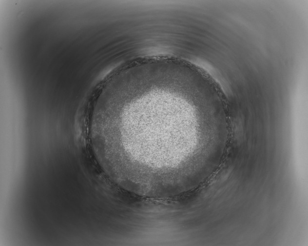 X0000101700871200807311430