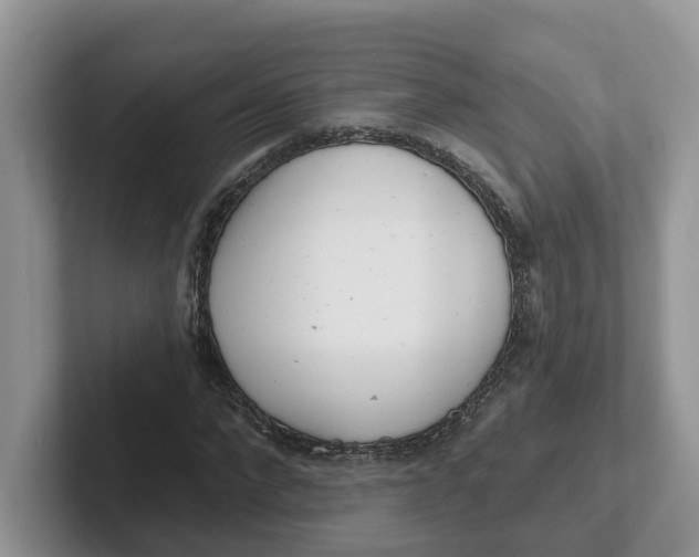 X0000101700872200807311430