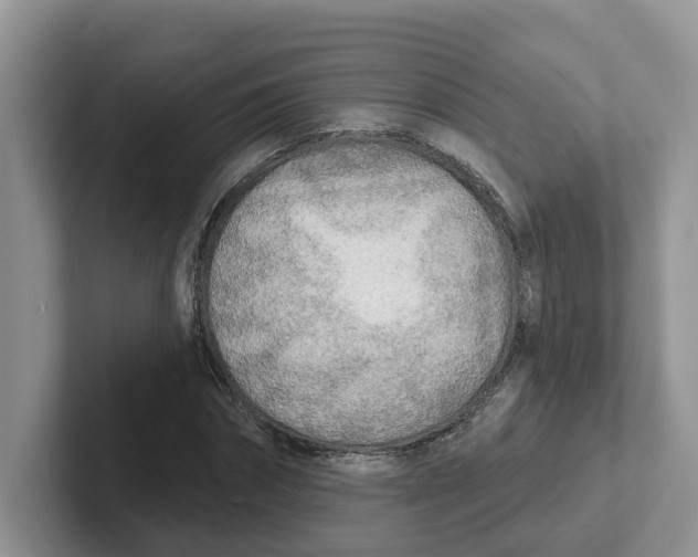 X0000101700874200807311430