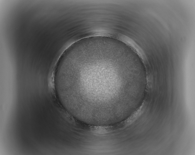 X0000101700875200807311430