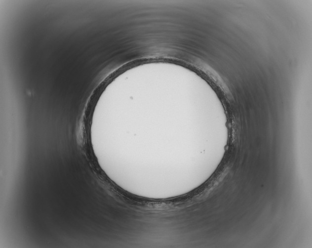 X0000101700876200807311430