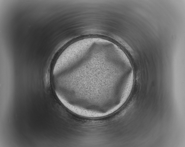 X0000101700877200807311430