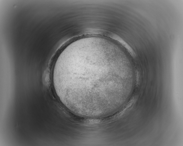 X0000101700878200807311430