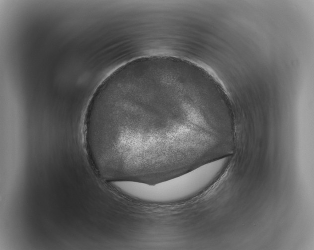 X0000101700879200807311430