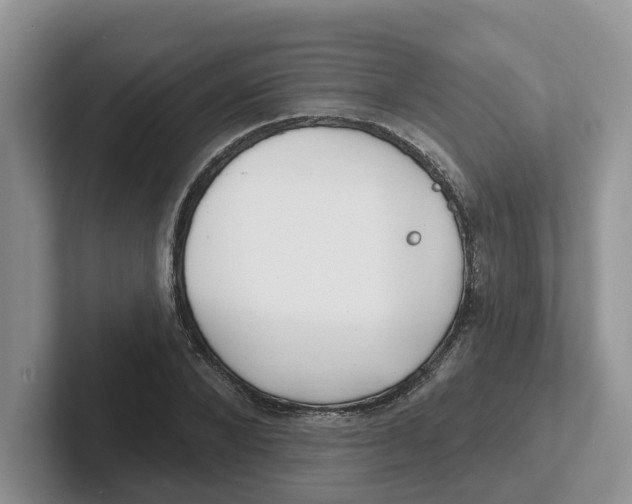 X0000101700880200807311430