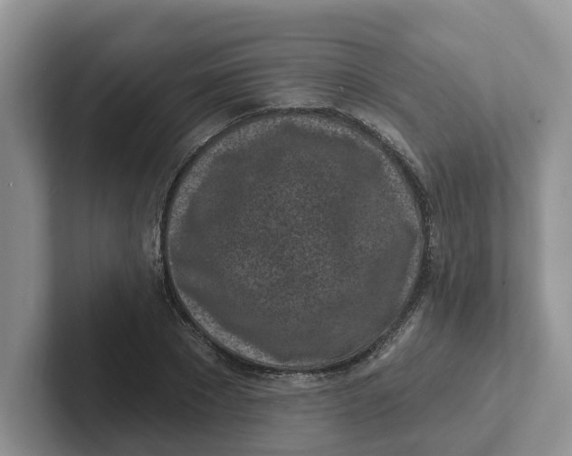 X0000101700881200807311430