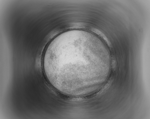 X0000101700882200807311430