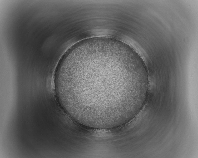 X0000101700883200807311430