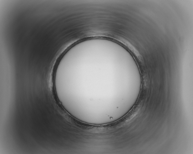 X0000101700885200807311430