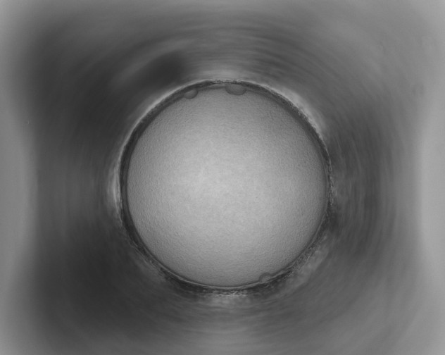 X0000101700887200807311429