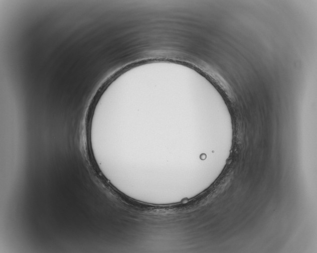 X0000101700888200807311429