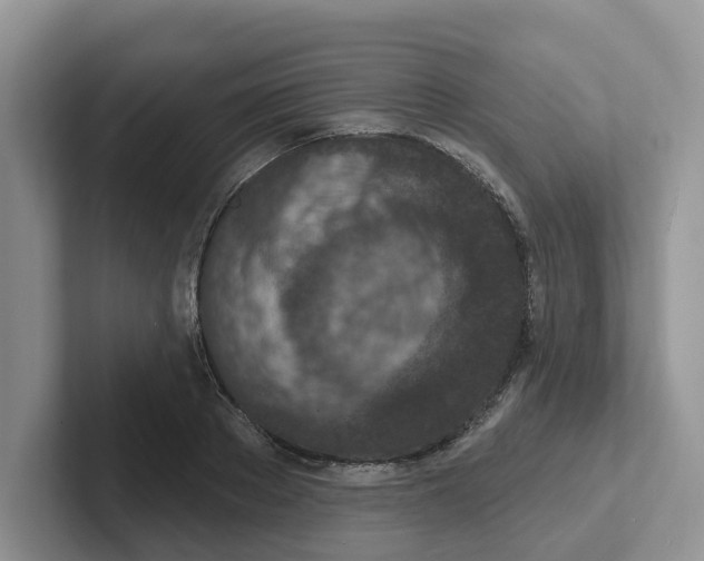 X0000101700889200807311429