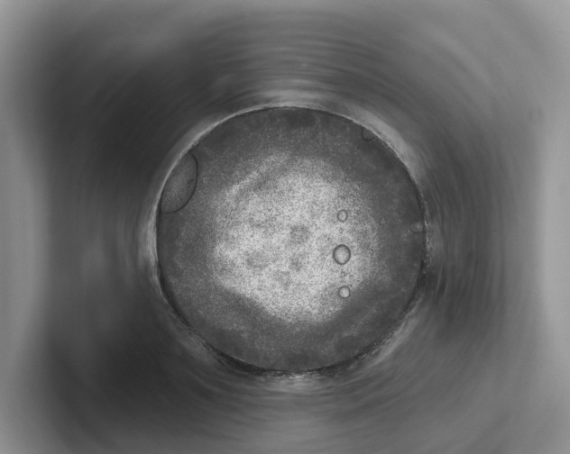 X0000101700891200807311429