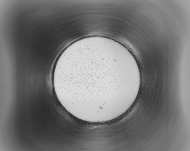 X0000101700892200807311429