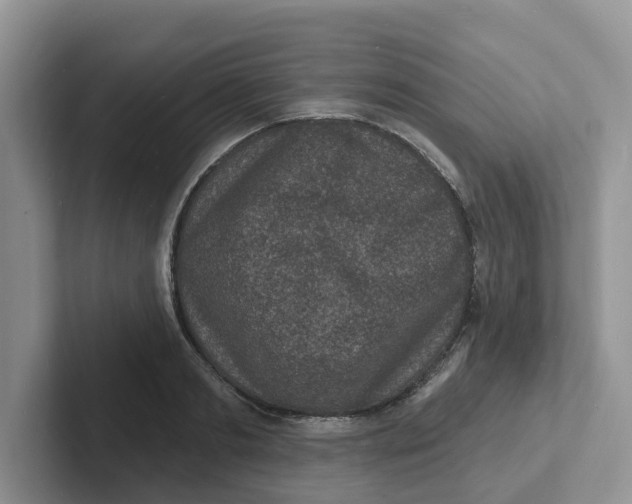 X0000101700893200807311429