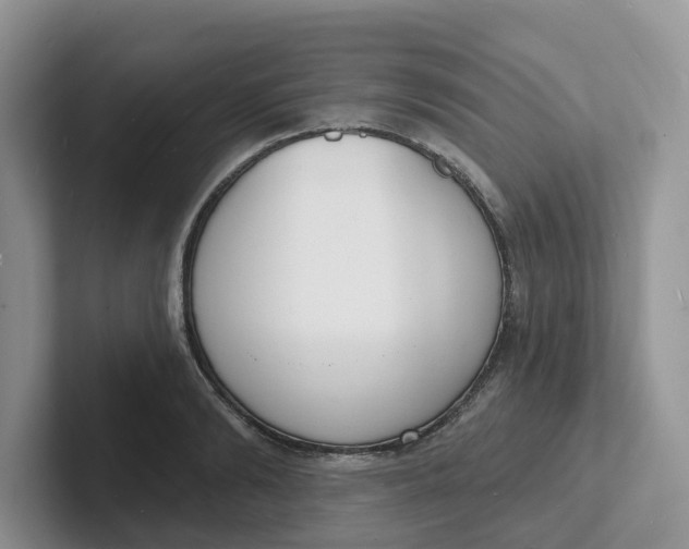 X0000101700894200807311429